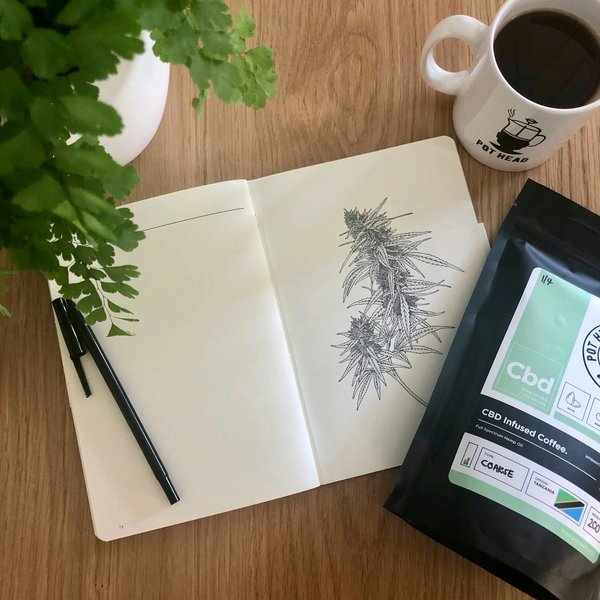 Peut-on trouver une croisière qui propose des ateliers de dessin botanique en Amérique centrale?